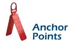 fall arrest anchor points